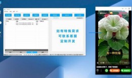 生活小爆料视频下载网站,热门视频网站下载攻略