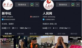 网红爆料最新新闻视频播放,揭秘事件背后惊人真相！