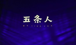 第五人爆料发布会视频,发布会视频背后的惊人真相
