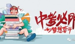 深圳徐超最新爆料消息,深圳最新动态揭秘