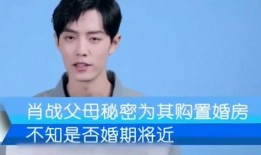 肖战爸爸爆料视频,揭秘肖战成长背后的故事