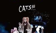 歌剧猫在线观看,在线观看，一场视觉与听觉的盛宴