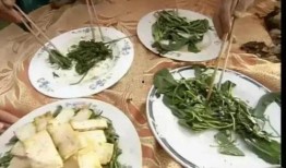 翰林院吃瓜爆料视频