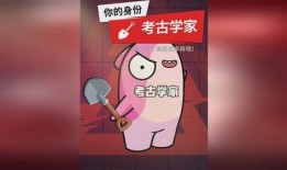 太空杀最新身份官方爆料,最新官方爆料揭示神秘身份之谜