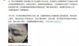 山东女子爆料新闻,揭露惊人内幕，揭开真相面纱