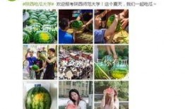 在线免费吃瓜学生,在线学生专属的吃瓜乐园