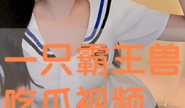 在线吃瓜人视频免费观看,在线视频平台带你领略热门事件