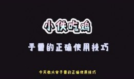 吃鸡解说爆料视频下载,视频内容深度解析