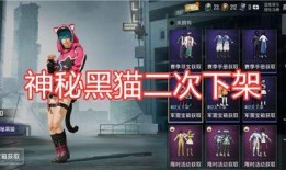 吃鸡体验服最新军需爆料,吃鸡体验服爆料揭秘