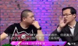 爆料马蓉的狗仔视频播放,一场豪门恩怨的狗血演绎