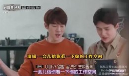 韩国吴世勋爆料视频播放,独家爆料视频背后的故事