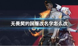 国服无畏契约爆料视频下载