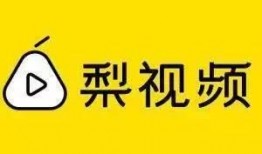 梨视频爆料,揭秘事件背后真相