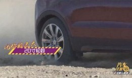 雪鹰哥最新爆料车评,揭秘车评界新宠儿的真实表现！