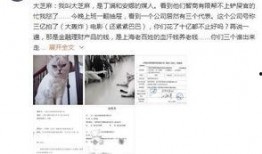 娱乐真相爆料2024,揭秘娱乐圈背后的惊人内幕