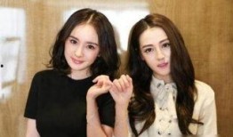 娱乐圈女主爆料的小说,揭开小说背后的真实故事