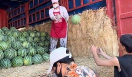 合肥吃瓜最新事件爆料新闻,揭秘背后真相与网络热议