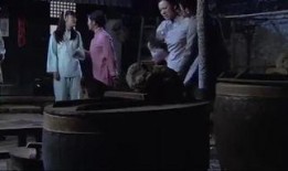 夺命桃花劫在线观看,生死逃亡的惊悚之旅