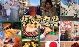 圣诞哈利爆料视频,揭秘神秘圣诞惊喜与魔法世界幕后