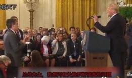 大理记者爆料案件视频,真相大白，正义终将到来