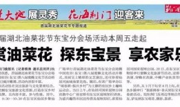 荆门日报新闻爆料,揭秘某重大事件背后真相