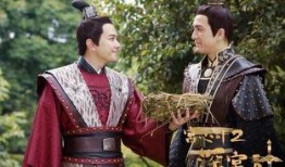 在线观看观看宫心计2,宫心计2的权谋与爱恨纠葛