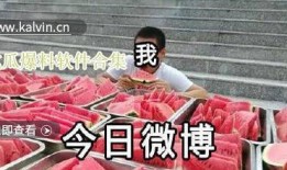 直播爆料吃瓜视频大全下载,吃瓜视频大全，揭秘娱乐圈幕后故事