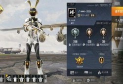 吃鸡体验服最新军需爆料,吃鸡体验服爆料揭秘