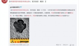 爆料新闻保密吗,爆料新闻背后的保密真相