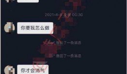 八卦吃瓜聊天记录网红,八卦风云再起