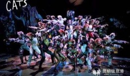 歌剧猫在线观看,在线观看，一场视觉与听觉的盛宴