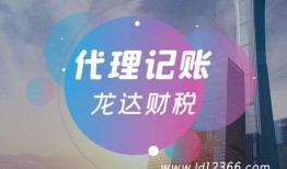 龙达财税爆料最新消息,财税行业动态深度解析