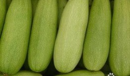 在线吃脆白瓜视频免费观看,在线视频带你轻松解锁