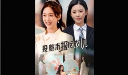 在线观看台剧的网站,盘点热门在线观看平台