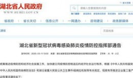 湖北爆料最新消息,揭秘事件背后真相