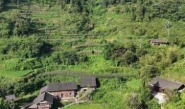 乡村美景大爆料视频下载,视频带你领略田园风光无限