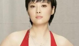 袁立爆料秃头视频大全,揭秘娱乐圈明星秃头背后的秘密