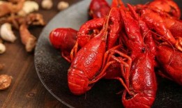 头条小龙虾爆料视频,头条视频曝光惊人真相！