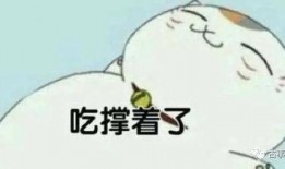 一起吃网红瓜的说说句子,一起品味网络热议背后的故事