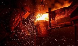 白鲨世冠爆料最新消息,最新赛事动态及幕后花絮大揭秘