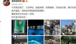 海杨村里人爆料视频最新,揭秘村庄背后惊人真相