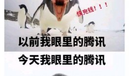 qq免费吃瓜大群,轻松获取热门资讯与趣味互动