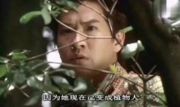 昔日情人在线观看,重温旧梦，情感纠葛再续前缘