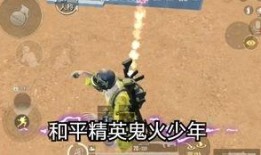 和平精英爆料教学视频,揭秘游戏新玩法与技巧