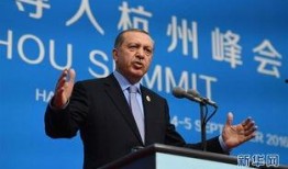 土耳其总统爆料新闻,揭秘国际政治背后真相