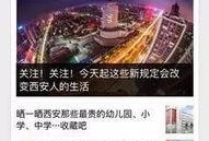 社会新闻线索爆料,勇敢少年挺身而出，正义之光照亮黑暗角落