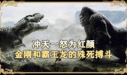 红颜2005在线观看,穿越时空的美丽传奇