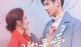 在线观看台剧的网站,盘点热门在线观看平台