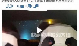 刘大锤最新爆料直播