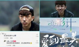 奚安娜节目爆料视频播放,揭秘幕后故事与精彩瞬间